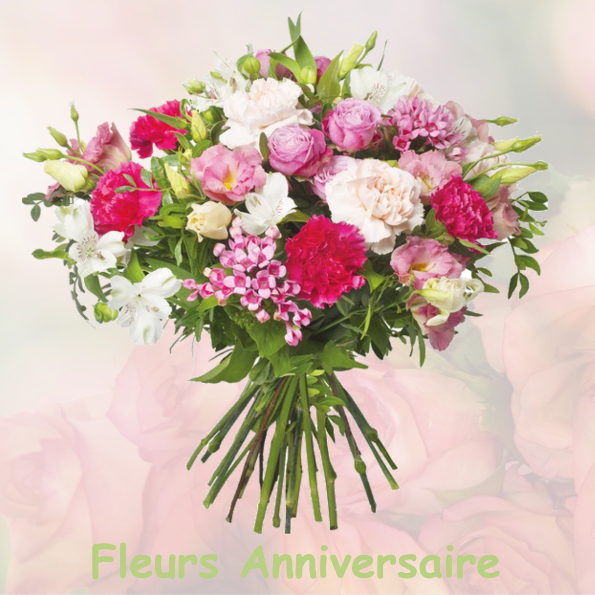 fleurs anniversaire NEUVILLE-AU-PLAIN